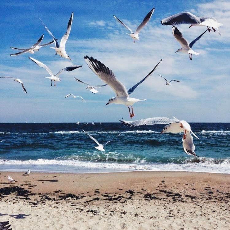Wave 2 Mamaia Prima Linie Vedere La Mare 120Mp Năvodari Eksteriør billede
