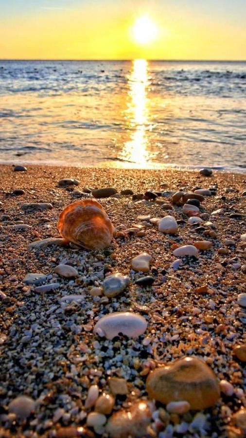 Wave 2 Mamaia Prima Linie Vedere La Mare 120Mp Năvodari Eksteriør billede